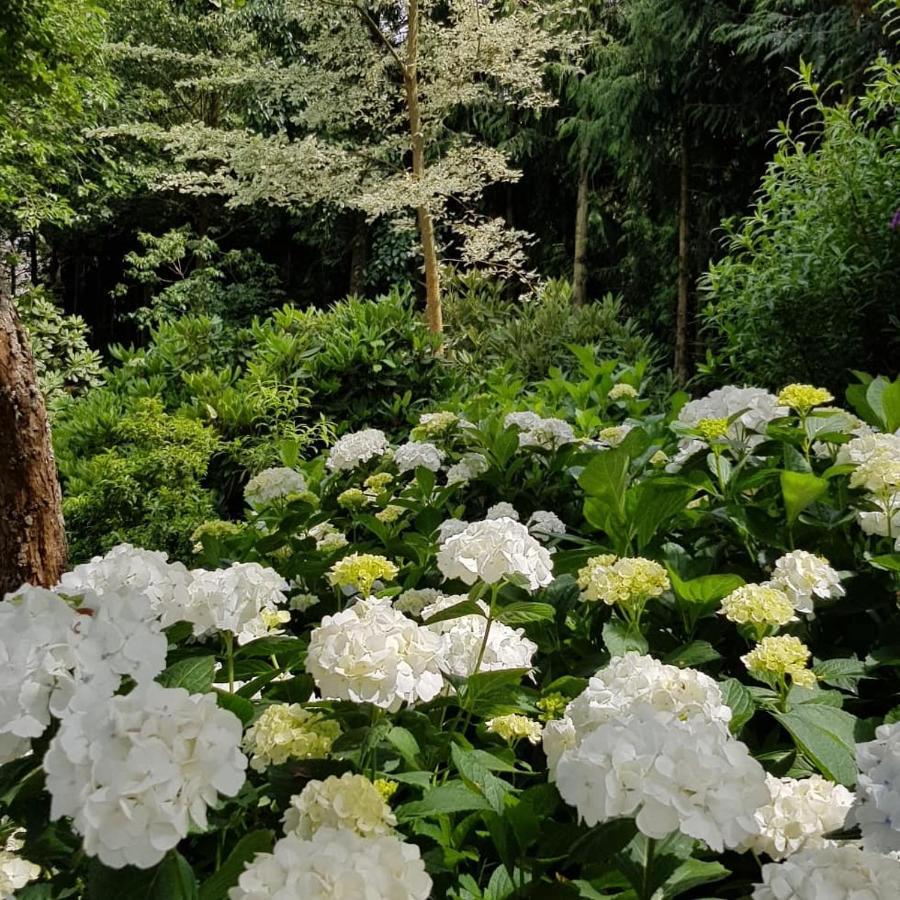 הוילה Oxford Ribblesdale Gardens Barn מראה חיצוני תמונה